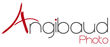 Logotype Angibaud Photo.jpg